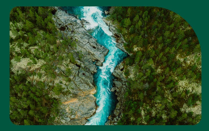 Vista aérea de río entre bosque