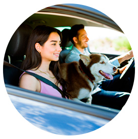 Niños y mascota en auto