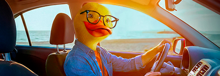 Pato BancoEstado en vehículo