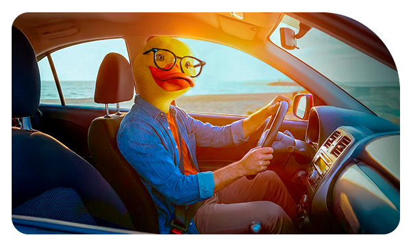 Pato BancoEstado en vehículo