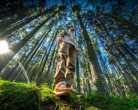 Hombre en un bosque Hombre en un bosque