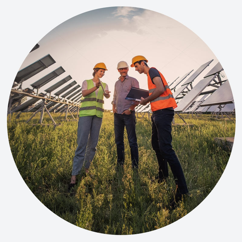 Trabajadores en medio de paneles solares