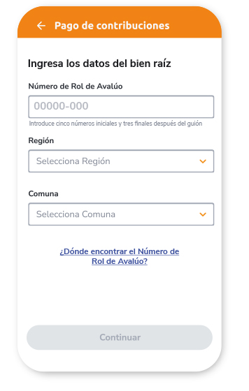 Pantalla Web