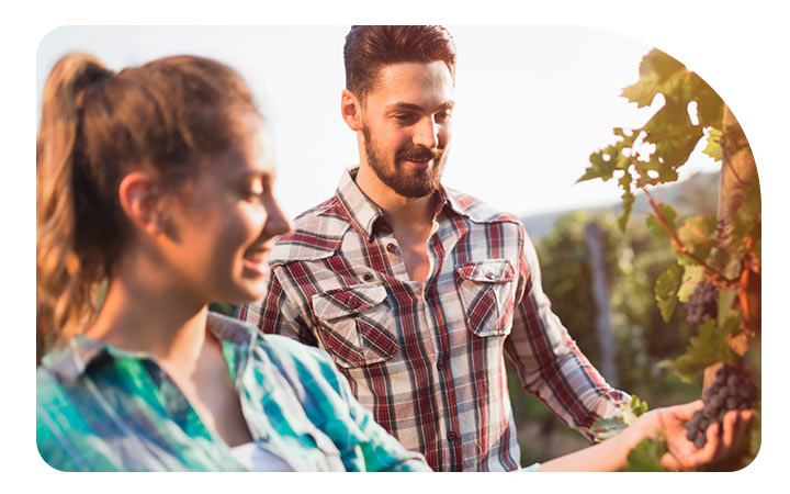 Hombre y mujer mirando una parra Hombre y mujer mirando una parra