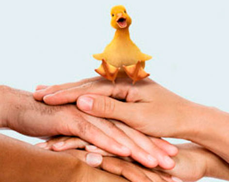 Portal de Donaciones BancoEstado